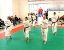 Montalto di Castro 2013