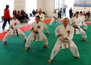 Montalto di Castro 2013