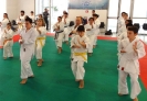 Montalto di Castro 2013