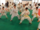 Montalto di Castro 2013