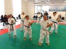 Montalto di Castro 2013