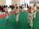 Montalto di Castro 2013