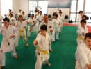 Montalto di Castro 2013