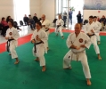 Montalto di Castro 2013