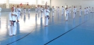 Hungary 2013