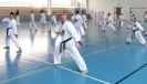 Hungary 2013