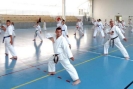 Hungary 2013