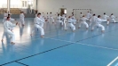 Hungary 2013