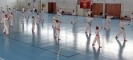Hungary 2013