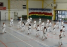 Hotton - Belgium 2013