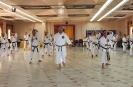 Palermo 2013