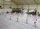 Belgium Stage 2014-34
