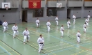 SpringCamp 2014