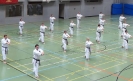 SpringCamp 2014