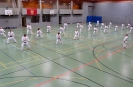 SpringCamp 2014