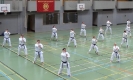SpringCamp 2014