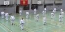 SpringCamp 2014