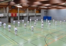 SpringCamp 2014