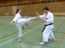 SpringCamp 2014