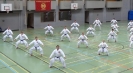 SpringCamp 2014