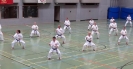 SpringCamp 2014