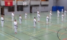 SpringCamp 2014