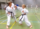SpringCamp 2014
