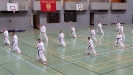 SpringCamp 2014