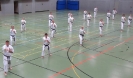 SpringCamp 2014