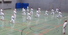 SpringCamp 2014