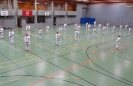 SpringCamp 2014