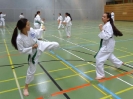 SpringCamp 2014