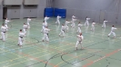 SpringCamp 2014