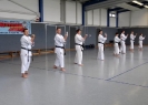 SpringCamp 2014