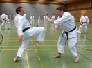 SpringCamp 2014