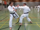 SpringCamp 2014