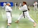 SpringCamp 2014