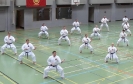 SpringCamp 2014