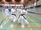 SpringCamp 2014