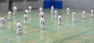 SpringCamp 2014