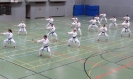 SpringCamp 2014