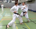SpringCamp 2014