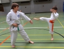 SpringCamp 2014