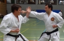 SpringCamp 2014