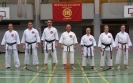 SpringCamp 2014