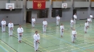 SpringCamp 2014