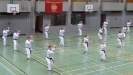 SpringCamp 2014