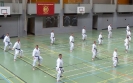 SpringCamp 2014