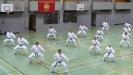 SpringCamp 2014
