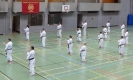 SpringCamp 2014